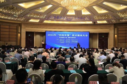 2024年科創(chuàng)中國技術服務大會在泰安圓滿舉辦 引領技術創(chuàng)新與產(chǎn)業(yè)融合新篇章
